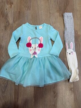Gymboree Snow Bunny Dress and Tights